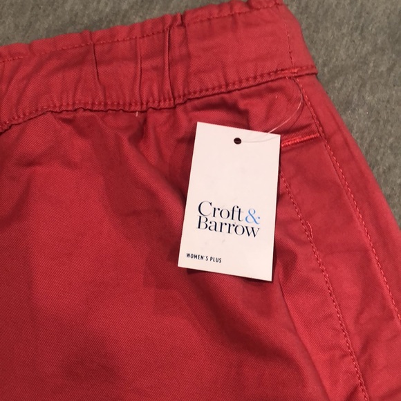 NWT Croft and Barrow Watermelon color Skirt Sz 1X - Picture 3 of 4